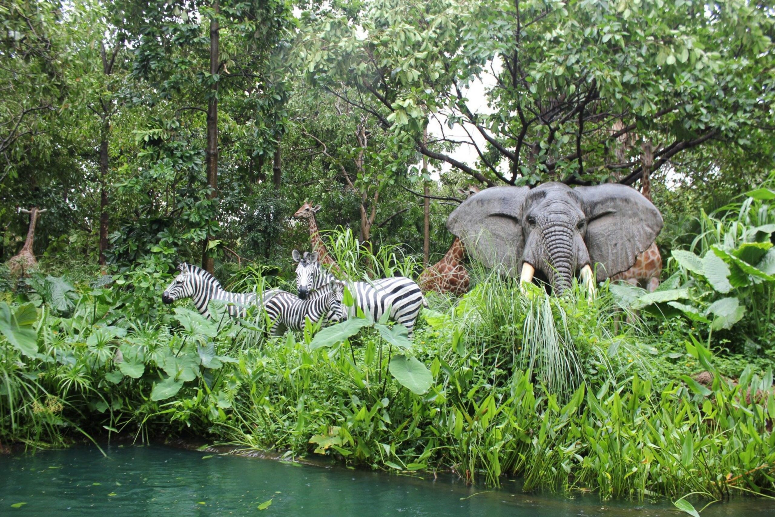 Forestry and Wildlife Technology